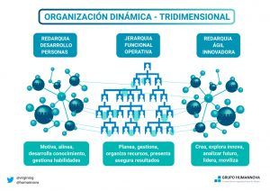 Organización dual dinámica